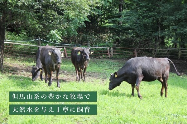 但馬山系の豊かな牧場で 天然水を与え丁寧に飼育