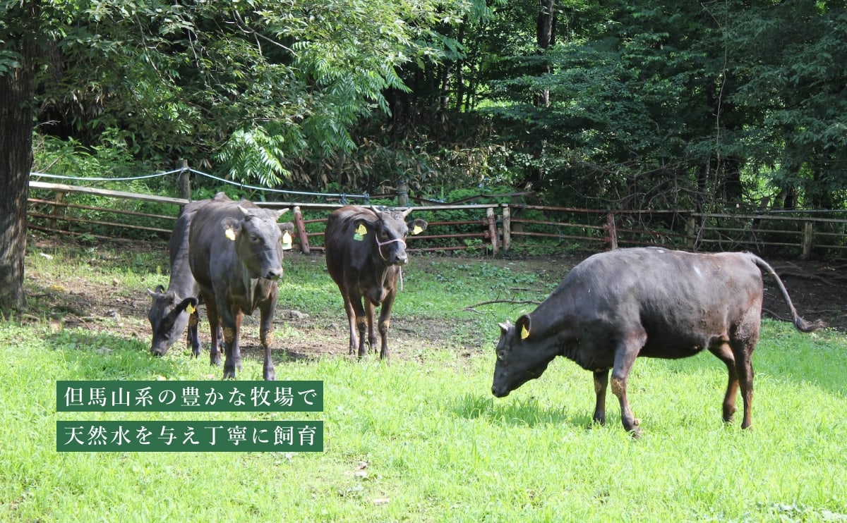 但馬山系の豊かな牧場で 天然水を与え丁寧に飼育