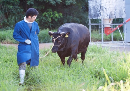 田村　成泰