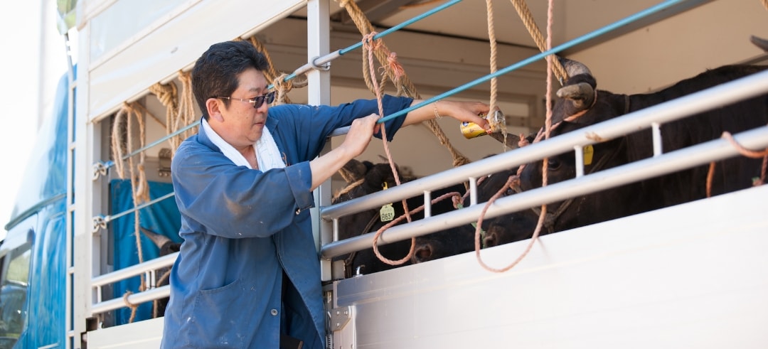 田村 正道